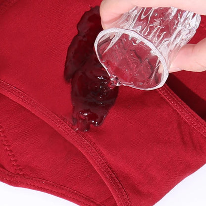 DryLuxe | 4-laags menstruatieslipje lekvrij - Willemijnswinkel